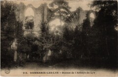 Dammerie Ruines de l'Abbaye du Lys