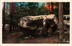 Barbizon l'Elephant à Barbizon