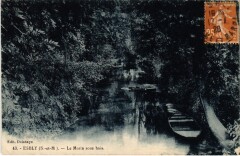 Esbly Le Morin sous bois à Esbly