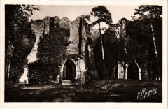Dammerie Les Ruines de l'Abbaye