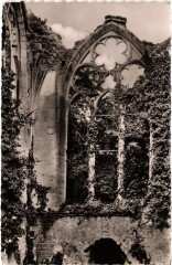 Dammerie Ruines de l'Abbaye du Lys