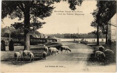 Les Ecluses du Livet