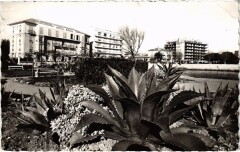 Antibes - Le bord de mer et sa végétation exotique à Antibes
