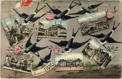 Troyes - Collage oiseaux à Troyes