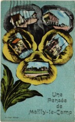 Camp-de-Mailly - Une pensée fleur collage