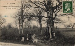 Environs de Chateauneuf-en-Thymerais - La Chéne Lorette -
													28 Eure et Loir
												