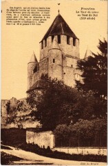 Provins Tour de Cesar à Provins