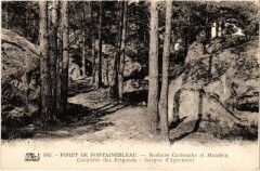 Foret de Fontainebleau - Rochers Cartouche et Mandri à Fontainebleau