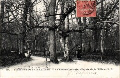 Foret de Fontainebleau - Le Chene-Charmee -
																					77300 Fontainebleau
																			