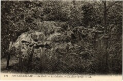 Fontainebleau La Foret - Le Calvaire - La Roche Eponge -
																					77300 Fontainebleau
																			
