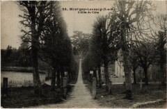 Montigny-Lencoup L'Allee du Cedre -
																					77520 Montigny-Lencoup
																			