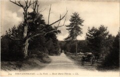 Fontainebleau La Foret - Route Marie-Therese à Fontainebleau