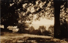 Chateau de Puy-Mori - Parc Scene
