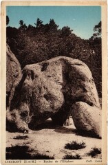 Larchant Rocher de l'Elephant à Larchant