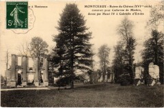 Montceaux-les-Meaux Ruines du Chateau -
																					77100 Meaux
																			