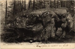 Barbizon La Foret l'Elephant à Barbizon