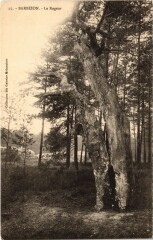 Barbizon Le Rageur à Barbizon