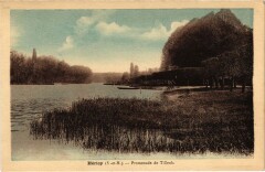 Hericy Promenade de Tilleuls