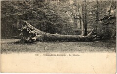 Fontainebleau Barbizon - La Briaree à Barbizon