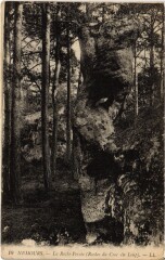 Nemours La Roche Percee - Rocher du Croc du Loup à Nemours