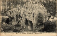 Foret de Fontainebleau - L'Hippopotame à Fontainebleau