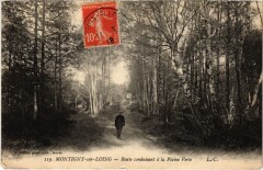Montigny Route conduisant a la Plaine Verte