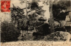 Foret de Fontainebleau Rocher d'Apremont à Fontainebleau