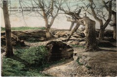 Foret de Fontainebleau Franchard Fontaine des Hermites -
																					77300 Fontainebleau
																			
