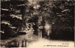 Esbly Le Morin sous bois à Esbly