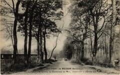 Meudon Route Forestiere Royale à Meudon