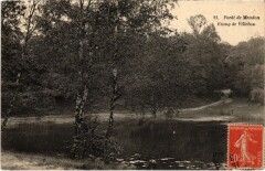 Meudon Etang de Villebon à Meudon