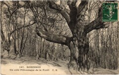 Robinson Un coin Pittoresque de la Foret -
													92 Hauts de Seine
												