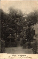 Robinson Le Grand Arbre -
													92 Hauts de Seine
												