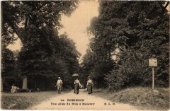 Robinson Une Allee du Bois a Malabry