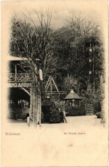 Robinson Au Grand Arbre