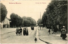 Meudon Avenue du Chateau à Meudon