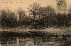 Meudon Etang de Villebon à Meudon