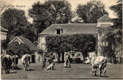 Foret de Meudon à Meudon