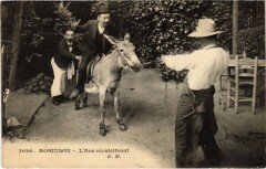 Robinson Ane recalcitrant