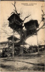 Robinson Le Vrai Arbre -
													92 Hauts de Seine
												
