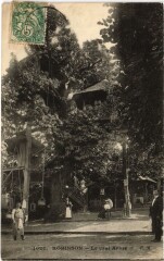 Robinson Le Vrai Arbre -
													92 Hauts de Seine
												