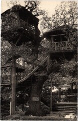 Robinson Le Vrai Arbre -
													92 Hauts de Seine
												