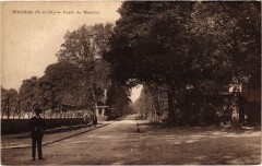 Meudon Foret de Meudon à Meudon