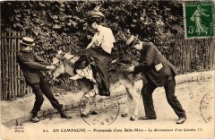 Robinson Promenade d'une Belle Mere