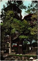 Robinson Le Vrai Arbre -
													92 Hauts de Seine
												