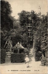 Robinson Le Grand Arbre