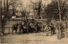 Robinson Location des Anes