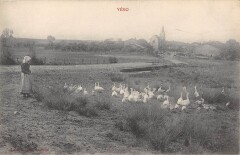 Veho -
													54 Meurthe et Moselle
												