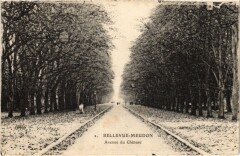 Meudon Avenue du Chateau à Meudon