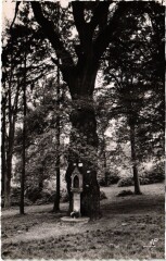 Chaville Le Chene de la Vierge -
																					92370 Chaville
																			